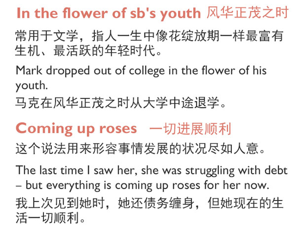 “花語(yǔ)”：和花有關(guān)的英語(yǔ)表達(dá)