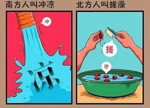 “南北差異”大討論：南方買菜買一頓，北方買菜買一噸？