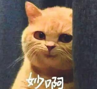 揭秘各國兵哥哥的野戰(zhàn)口糧！看到韓國的，忍不住笑出了聲…