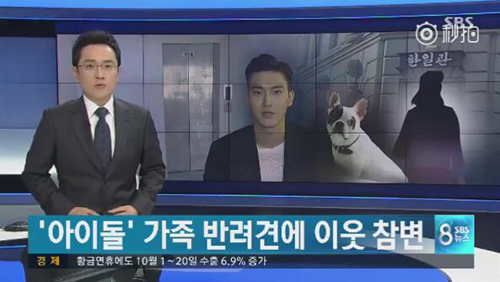 明星愛犬咬傷鄰居間接致其死亡，寵物不拴繩害人也害狗