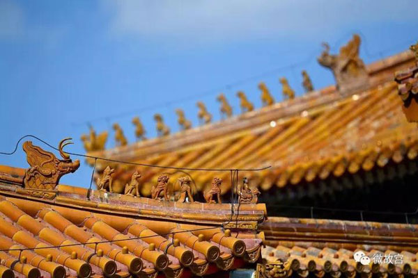 習近平特朗普同游故宮！那些讓特朗普驚嘆的殿、樓、齋，用英文怎么說？