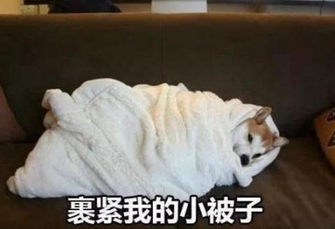 寒潮侵襲！英國(guó)人如臨大敵，卻遭北歐加拿大網(wǎng)友無(wú)情嘲笑