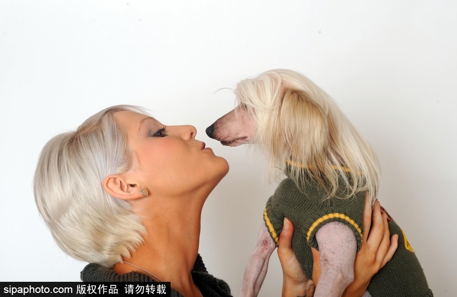 人不如狗系列！走進全世界最奢華的狗狗生活（組圖）