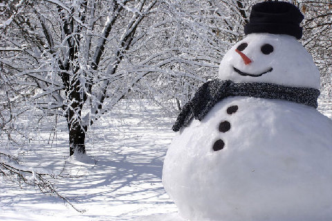 冬天來(lái)了，細(xì)數(shù)那些與“雪”有關(guān)的詞匯