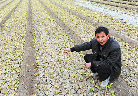 Drought relief effort under way