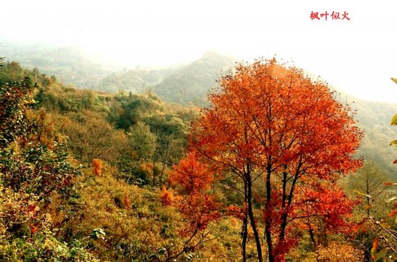 Huayang Dafo resort in Gushi