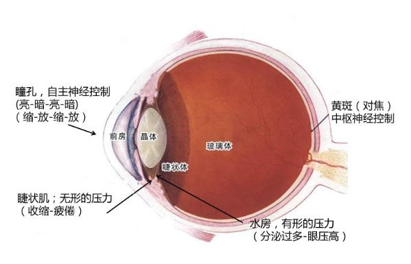 明基不閃屏關愛兒童眼部健康 這個兒童節把“愛”帶走