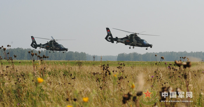 我軍赴俄參演戰(zhàn)機首訓 飛行員頭盔涂豹頭圖案