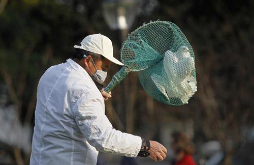 H7N9檢測試劑盒已發放