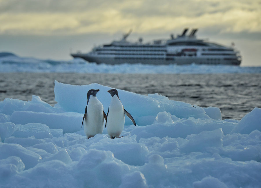 More than Antarctic - A fantastic journey
