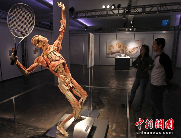 尸體“運(yùn)動(dòng)員”