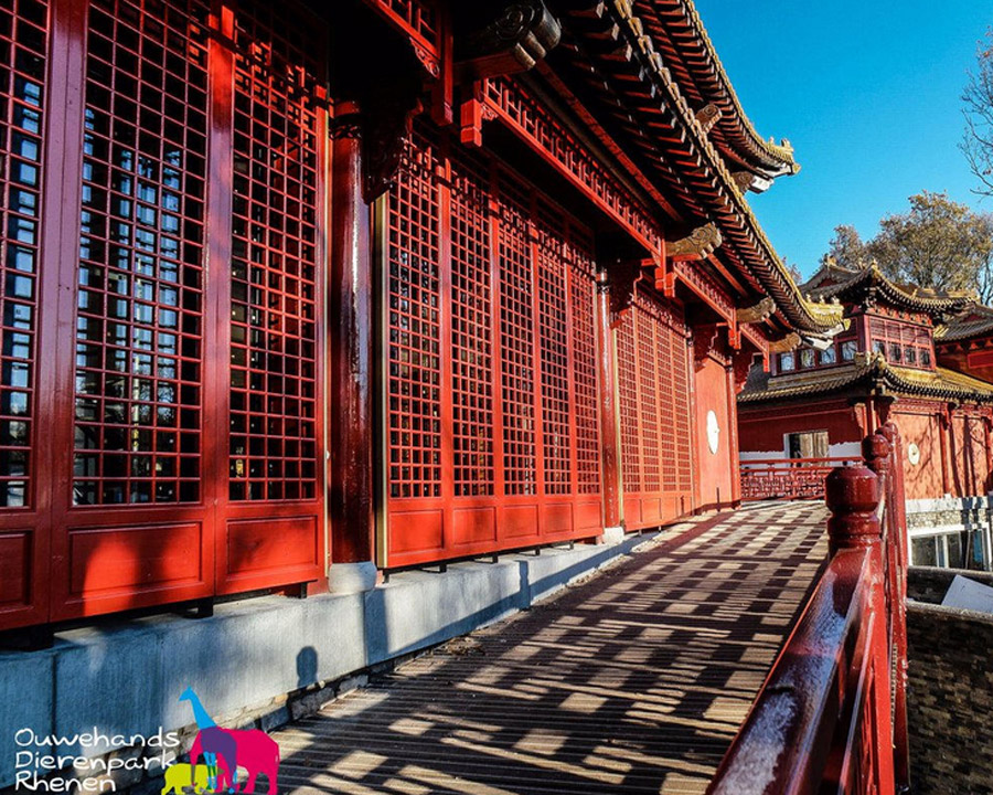 Pandasia, a palace for pandas