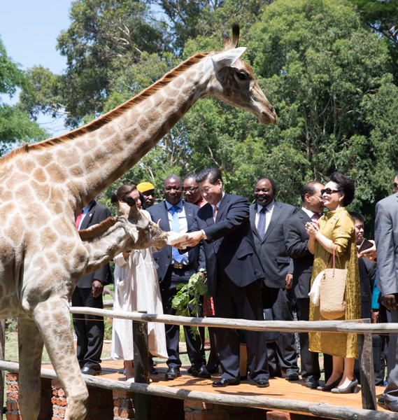 Xi reiterates China's commitment to wildlife protection