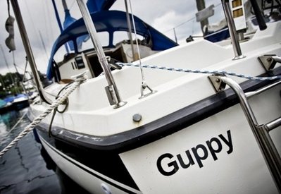 Dutch delay 13-year-old sailor's worldwide trip