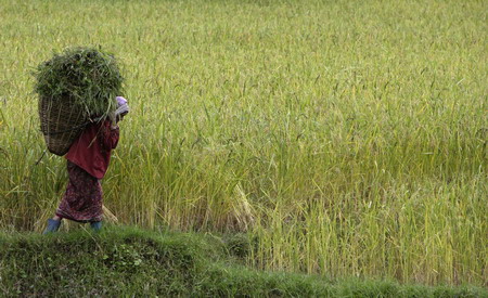 UN: Agriculture investment must increase 5-fold