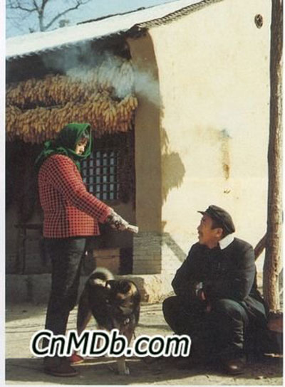 《秋菊打官司》