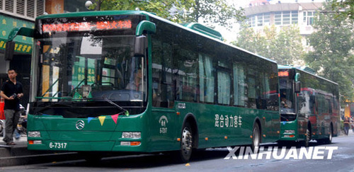 法《世界報》：中國將成為可再生能源大國