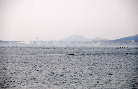 人間仙境蓬萊現海市蜃樓等三大海上奇觀