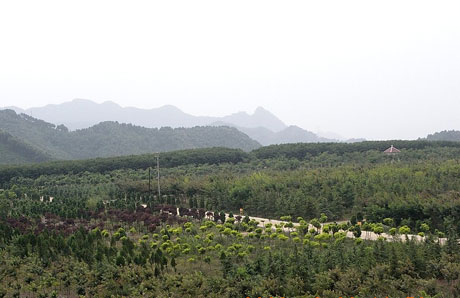 建設(shè)綠色礦山