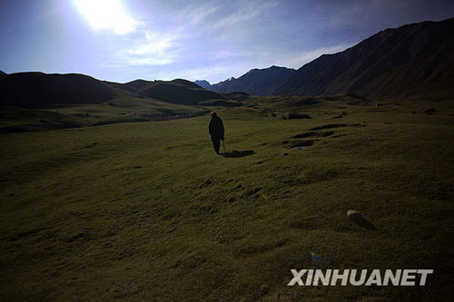 美麗的夏季草場(chǎng)[組圖]