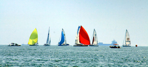 2009青島國(guó)際帆船賽開始舉行