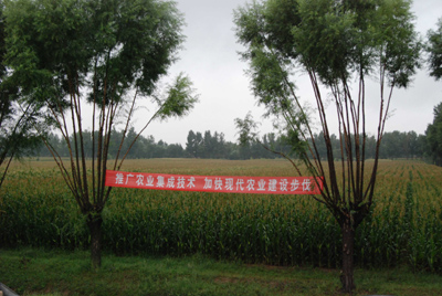 種養互補：榆陽區馬合鎮走出農民增收新路子