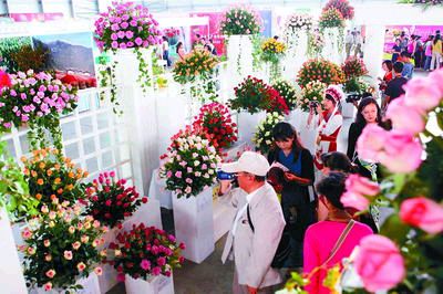 2009昆明國際花卉展暨第五屆農(nóng)博會開幕