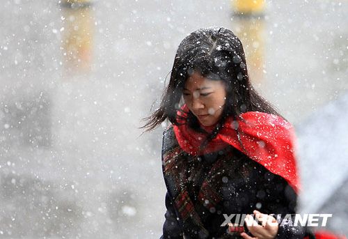 北京受降雪影響部分航班延誤 已啟動應急預案