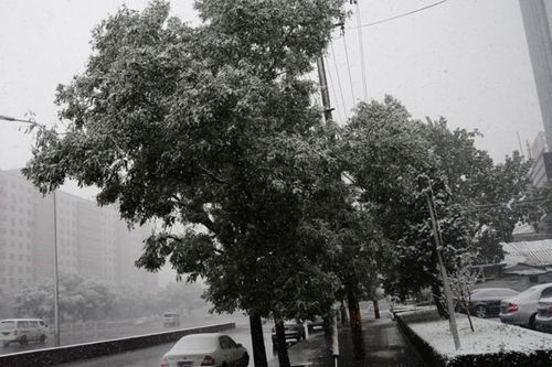 北京受降雪影響部分航班延誤 已啟動(dòng)應(yīng)急預(yù)案