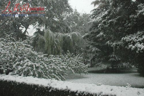 北京受降雪影響部分航班延誤 已啟動應(yīng)急預(yù)案