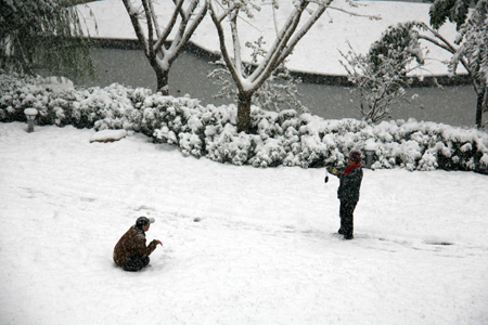 濟南迎來今冬首場大到暴雪（圖）